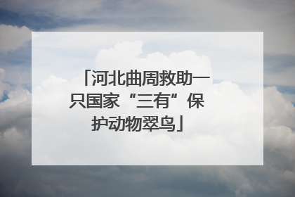 河北曲周救助一只国家“三有”保护动物翠鸟